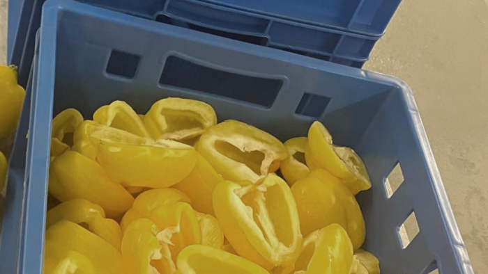 Schweiger-Hof blaue Kisten