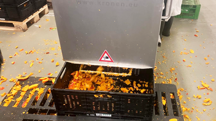 Schweiger-Hof Kürbis geschnitten