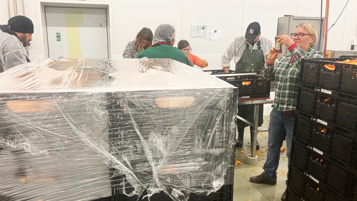 Schweiger-Hof Kürbis versendet