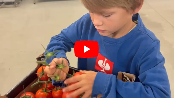 Schweiger-Hof Tomaten gewuerfelt