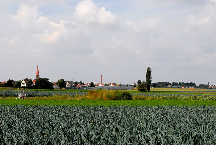 Schweiger Hof im Knoblauchsland